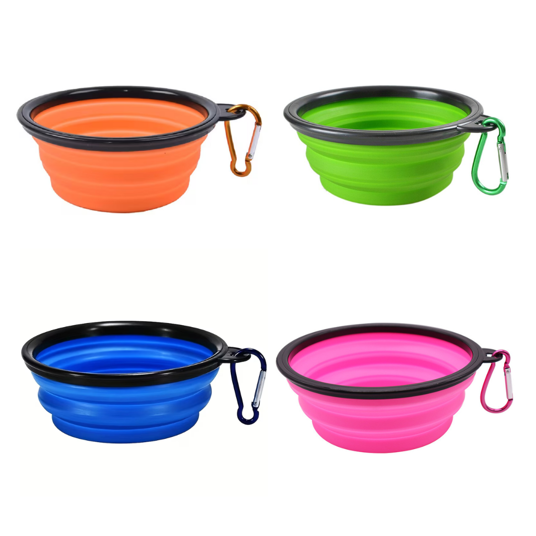 Collapsible travel pet bowl