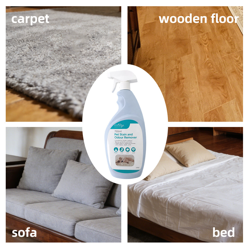 Pet stain and odour remover product photo