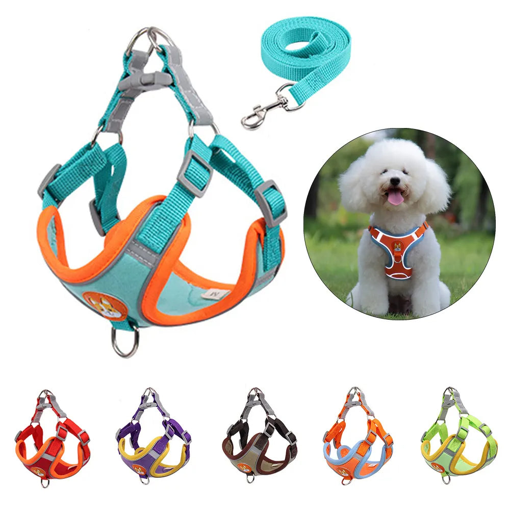 Adjustable dog harness and leash set